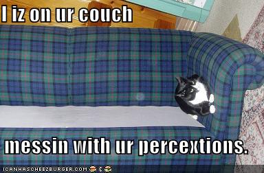 i iz on ur couch messin with ur percextions.